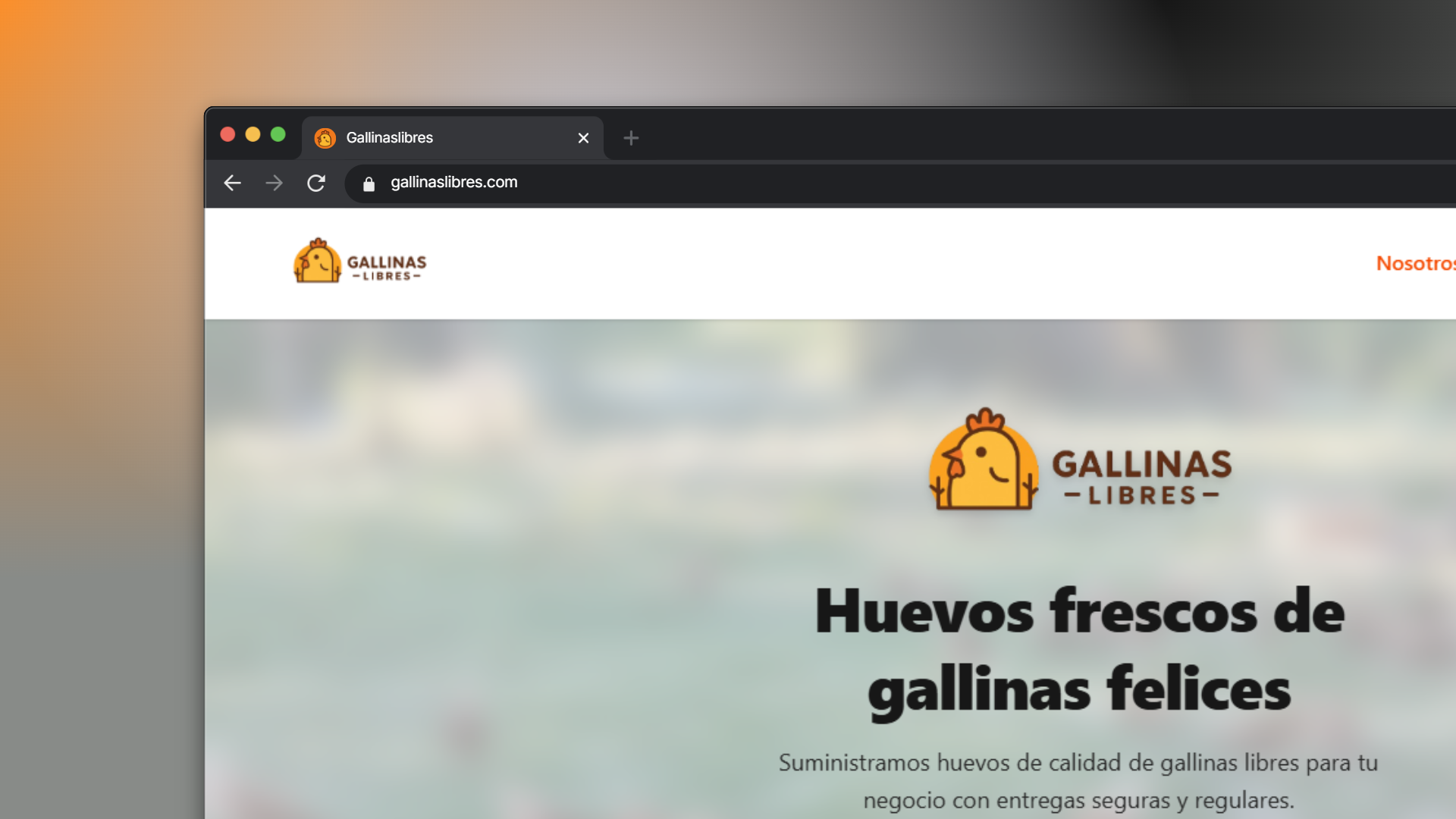 Preview proyecto: Gallinas Libres